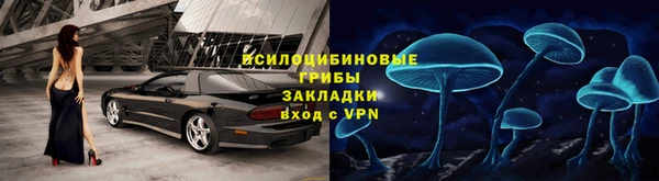 гидра Билибино