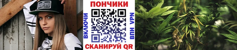 Марихуана конопля Новосиль